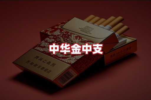 中华金中支